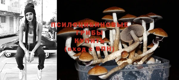2c-b Абдулино