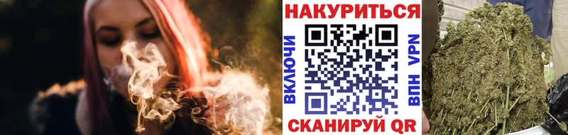 как найти закладки  Чегем  Канабис сатива 